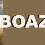 Men's Fall Study: Boaz
